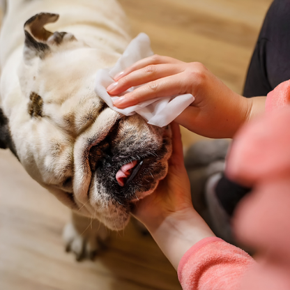 PawFresh Wipes